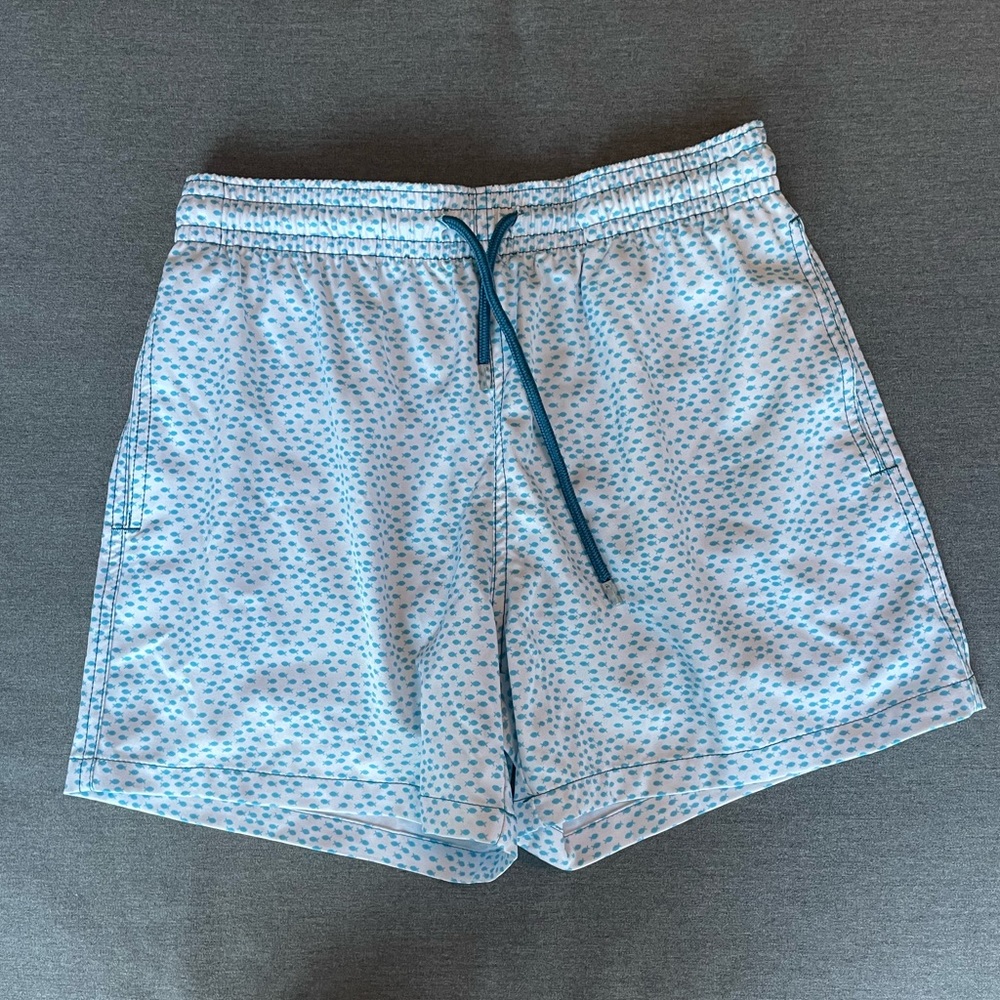 BLUE & WHITE HYBRID SWIM SHORT | Small
